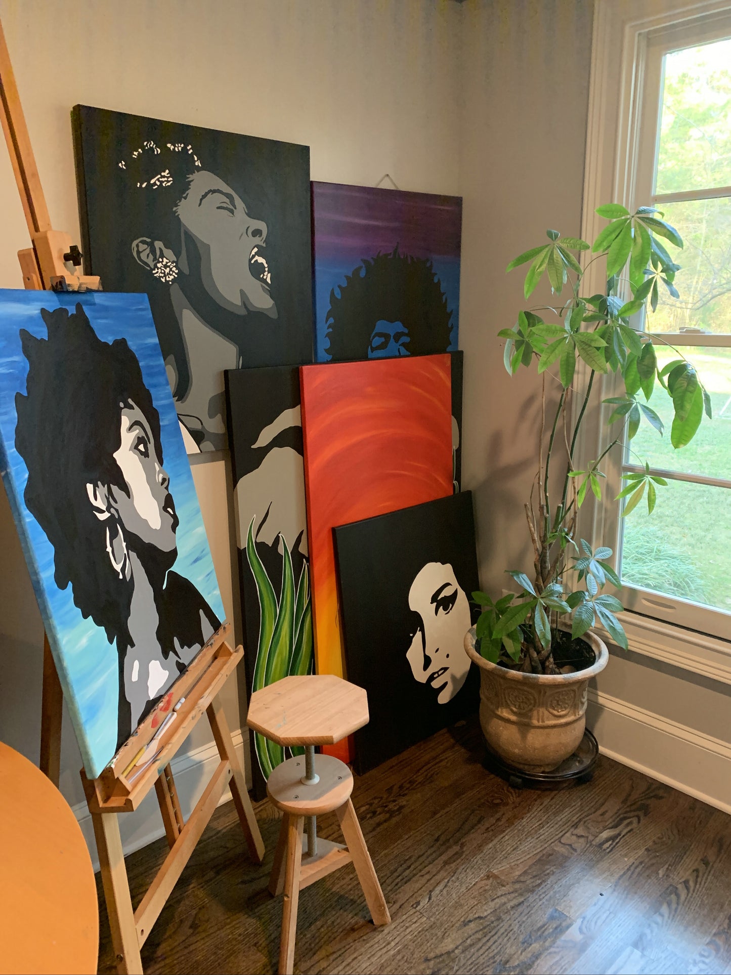 My Collection